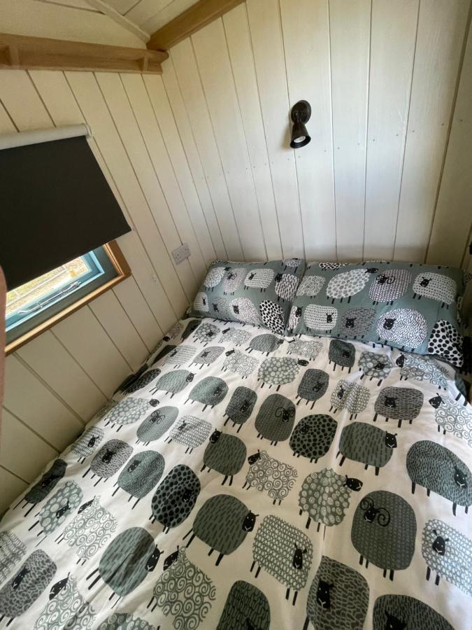 The Shepards Hut Apartment Llwyn-Dafydd Exterior photo